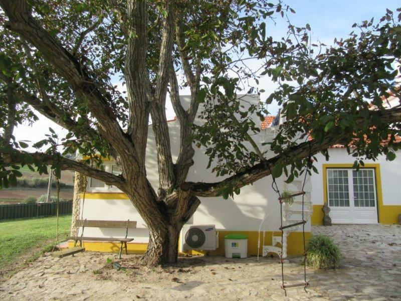 Quintal Do Freixo - Country House โซบรัล ดิ มงต์อากราโซ ภายนอก รูปภาพ